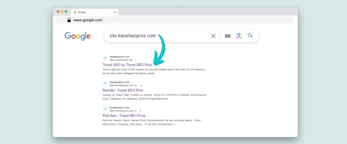 travelseopros on google